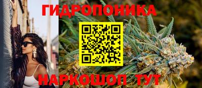 стафф Белореченск