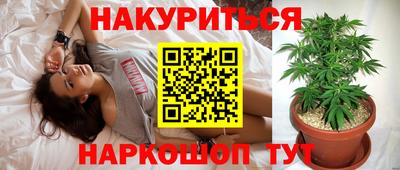 стафф Белореченск