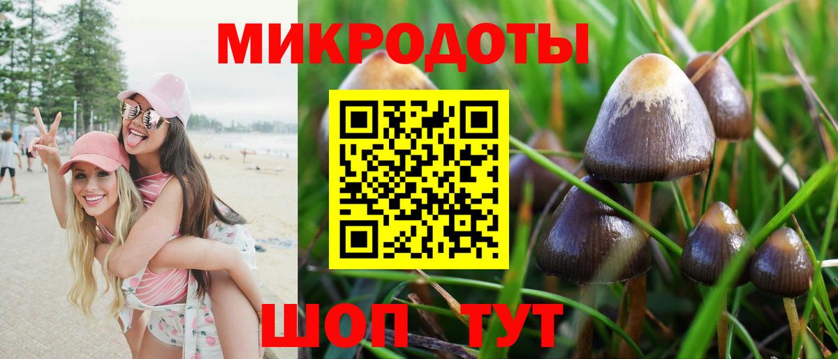 Советская Гавань  Псилоцибиновые грибы GOLDEN TEACHER  Вход с VPN 